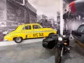 Миниатюра 8