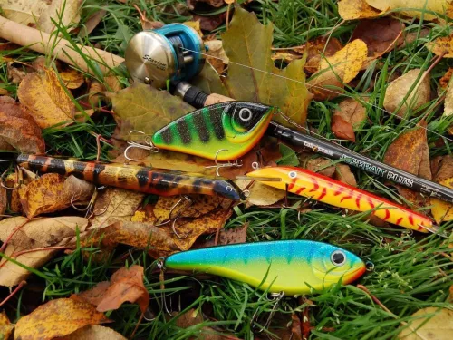 Рыбалка. Товары для Рыбалки  в  Волгограде