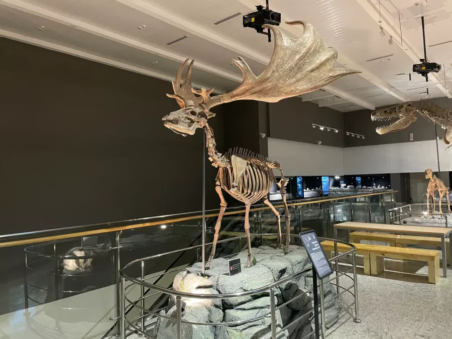 Музей Национальный музей Республики Казахстан в Астане: Выставки, Музей, Культура, Искусство, История, Творчество, Экскурсия,