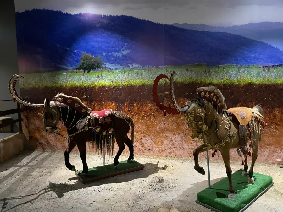 Музей Национальный музей Республики Казахстан в Астане: Выставки, Музей, Культура, Искусство, История, Творчество, Экскурсия,