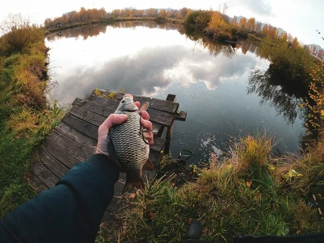 Мичуринские пруды. База отдыха в Екатеринбурге: Рыбалка, База отдыха,