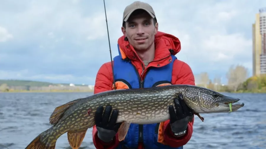 Мичуринские пруды. База отдыха в Екатеринбурге: Рыбалка, База отдыха,