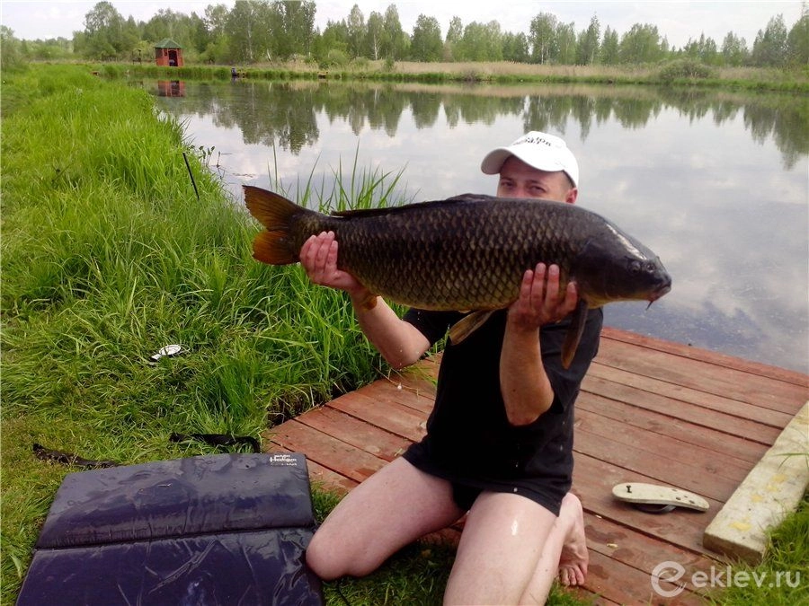 Мичуринские пруды. База отдыха в Екатеринбурге: Рыбалка, База отдыха,
