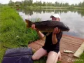 Миниатюра 8