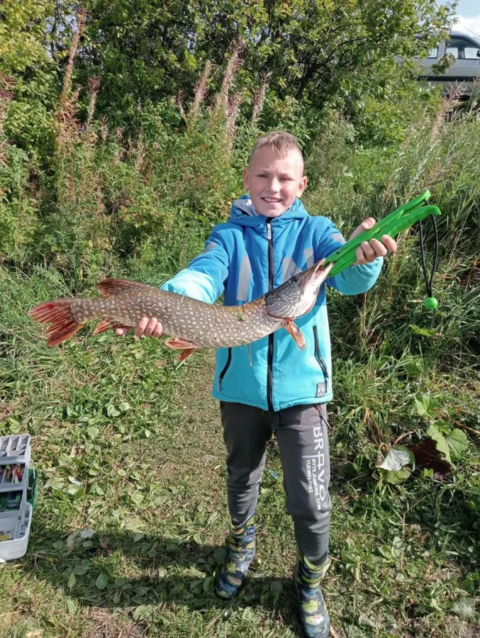 Мичуринские пруды. База отдыха в Екатеринбурге: Рыбалка, База отдыха,