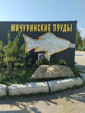Мичуринские пруды. База отдыха