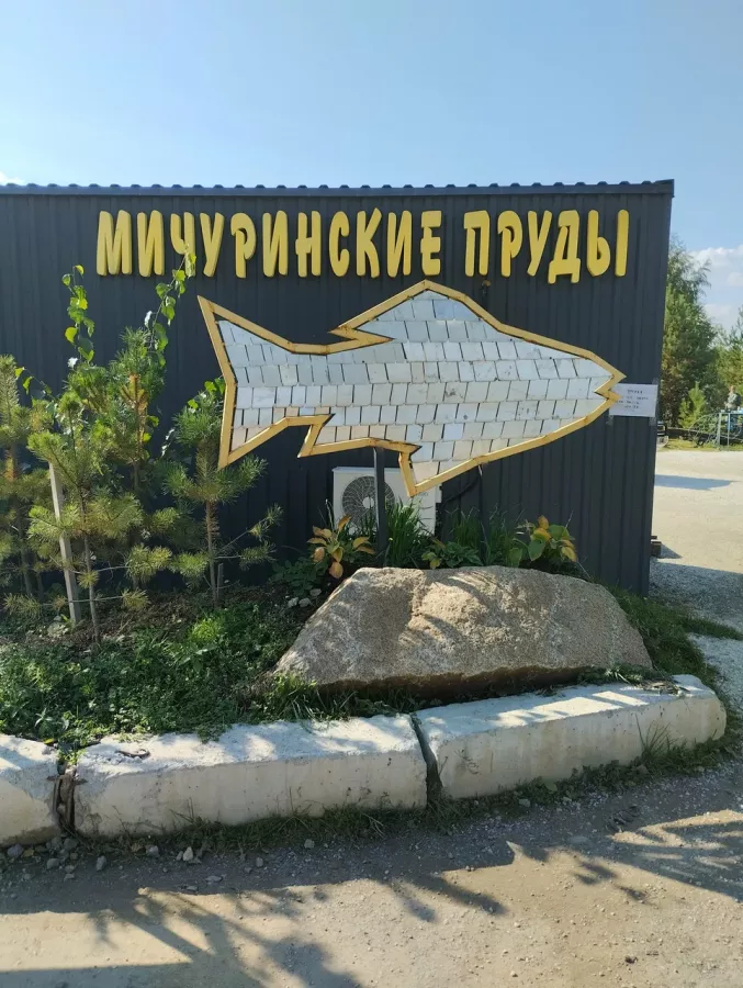 Мичуринские пруды. База отдыха в Екатеринбурге: Рыбалка, База отдыха,