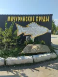 Миниатюра 12