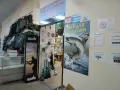 Миниатюра 11