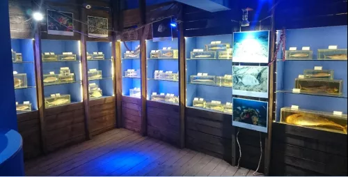 Музей Морской Биологический Музей Антальи  в  Анталии