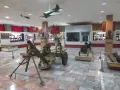 Миниатюра 14