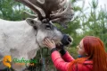 Миниатюра 18