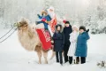 Миниатюра 20