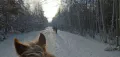Миниатюра 23