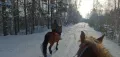 Миниатюра 24