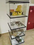 Миниатюра 8