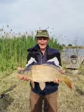 Миниатюра 10