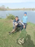 Миниатюра 3