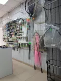 Миниатюра 9