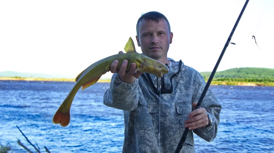 Дальневосточная Рыбалка. Рыболовный Тур в Комсомольск-на-Амуре: Рыбалка,