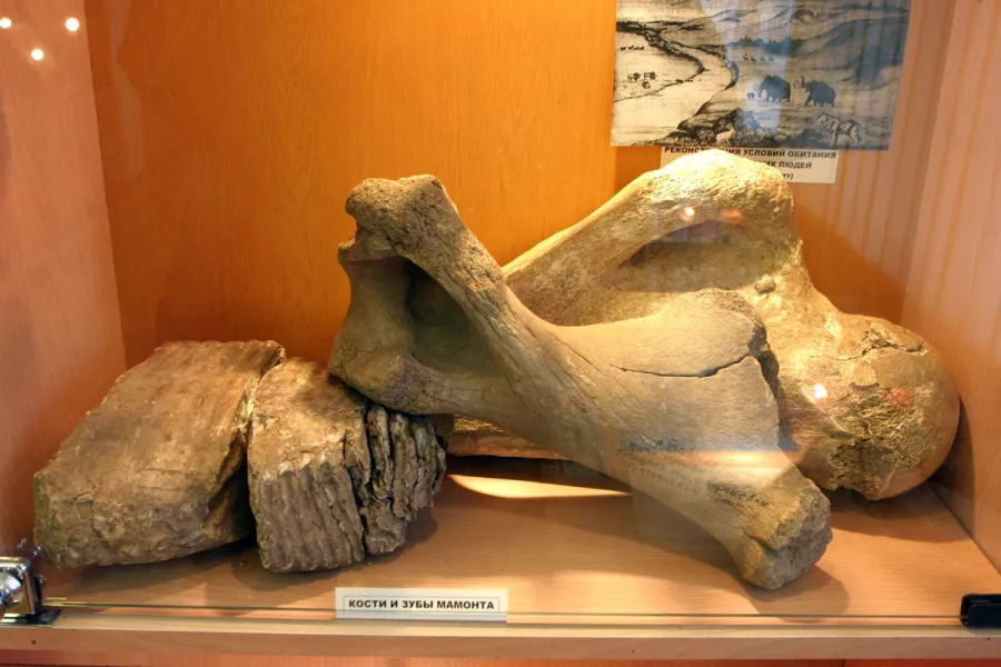 Музей Археологии ВГУ в Воронеже: Выставки, Музей, Культура, Искусство, История, Творчество, Экскурсия,