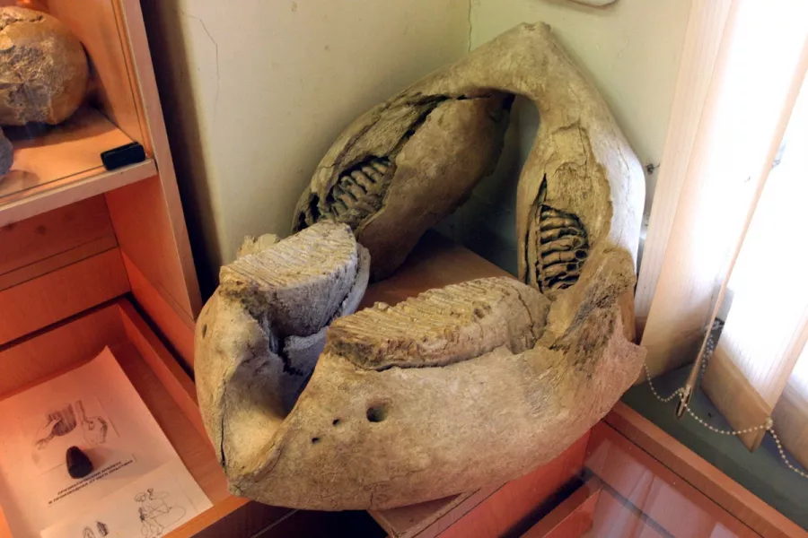 Музей Археологии ВГУ в Воронеже: Выставки, Музей, Культура, Искусство, История, Творчество, Экскурсия,