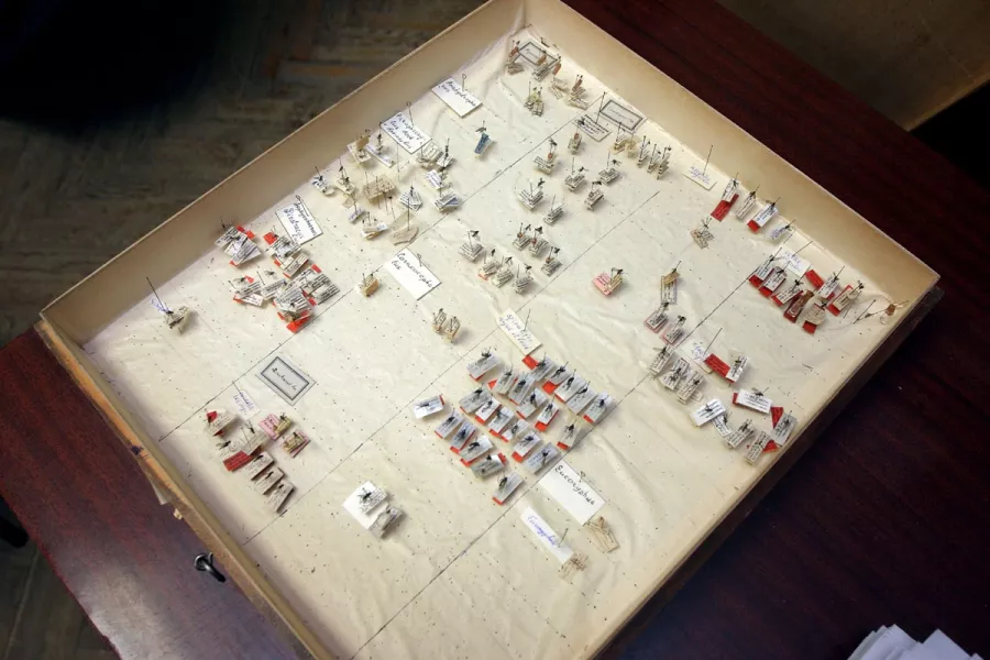 Музей Археологии ВГУ в Воронеже: Выставки, Музей, Культура, Искусство, История, Творчество, Экскурсия,