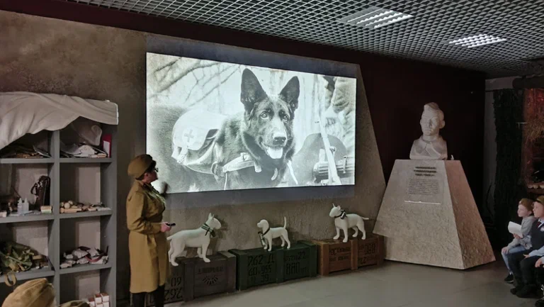 Музей Арсенал в Воронеже: Выставки, Музей, Культура, Искусство, История, Творчество, Экскурсия,