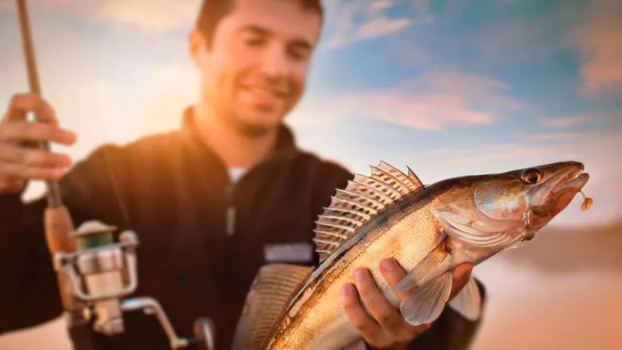 Камо-Фишинг. Товары для Рыбалки в Богородское: Рыбалка,