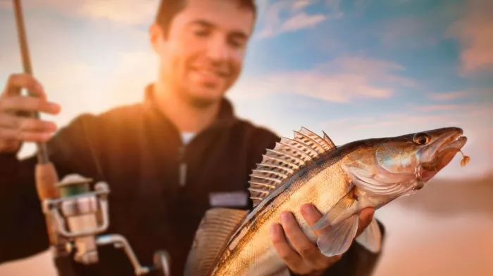Камо-Фишинг. Товары для Рыбалки  в  Богородское