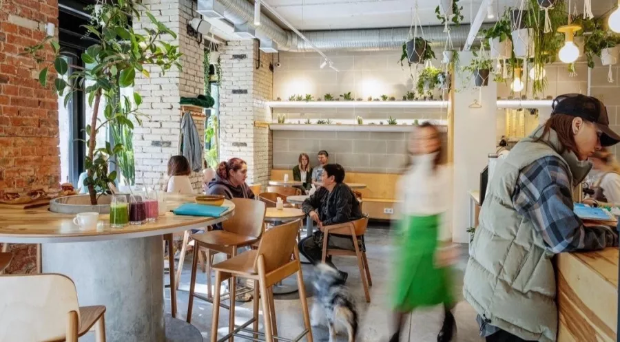 Кофейня- коворкинг Garden room coffee в Новосибирске: Можно с ноутбуком, Кофейня коворкинг, Кофейня, Фрилансер, Кофе с собой, Кафе, Кофе, Кофейня- коворкинг, Место для работы, Где работаеть, Коворкинг,
