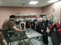 Миниатюра 7
