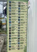 Миниатюра 10