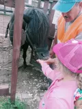 Миниатюра 13