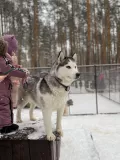 Миниатюра 3