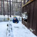 Миниатюра 6