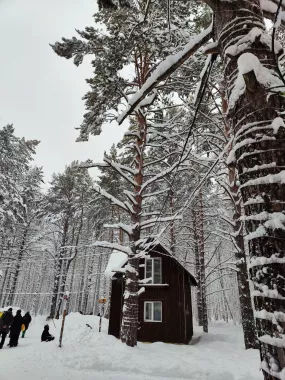 "Хаскилэнд Кемерово"