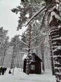 Миниатюра 9