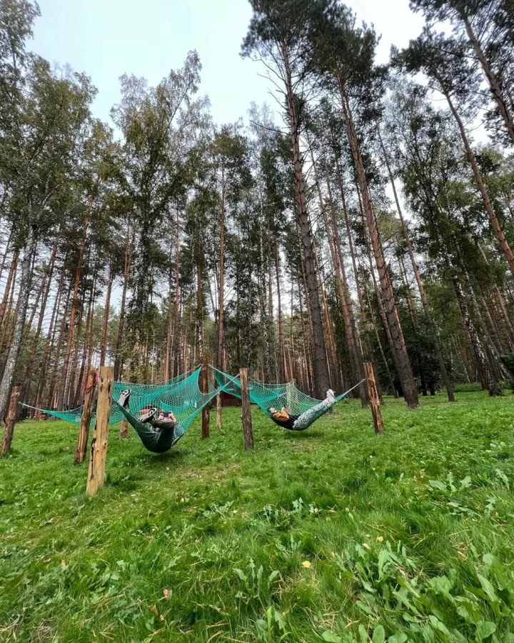 Хаскилэнд Кемерово в Кемерово: Зоопарк, Любимцы, Дети, Чилим, Развлечения, Природа, Zoo, Animals,