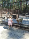 Миниатюра 12