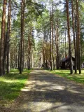 Миниатюра 16