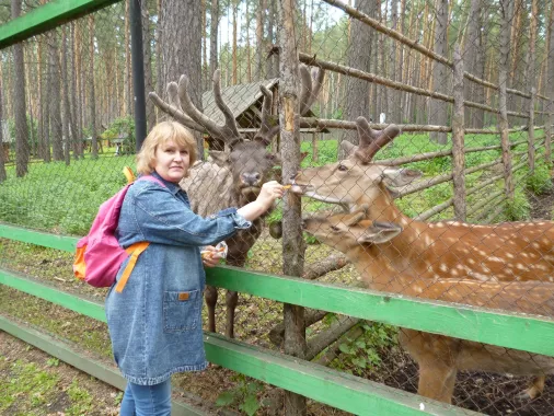 "Томская Писаница"
