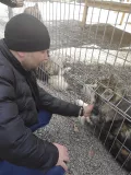 Миниатюра 8