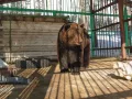 Миниатюра 7