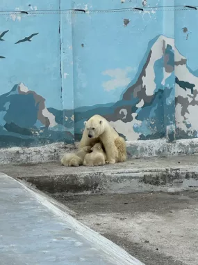 "Республиканский зоопарк Орто-Дойду имени В.Г. Алексеева"