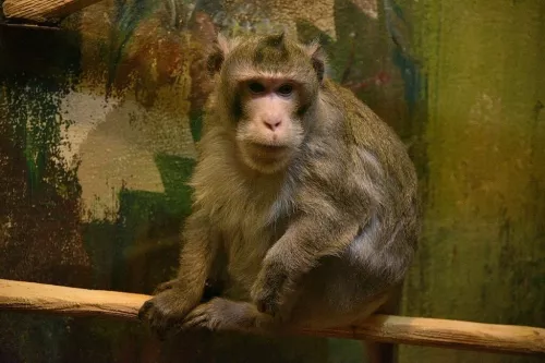 Эколого-биологический центр  в  Смоленске