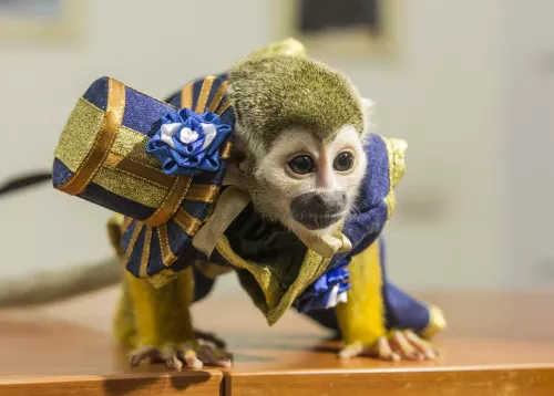 Самарский зоопарк  в  Самаре