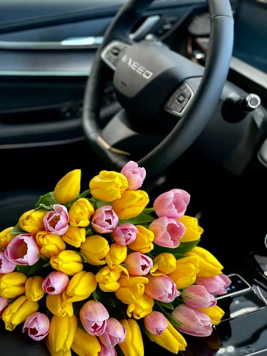 Автосалон EXEED центр Альбион-Моторс в Новосибирске: Авто, Страхование, Автосервис,