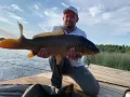 Миниатюра 6