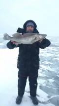 Миниатюра 11
